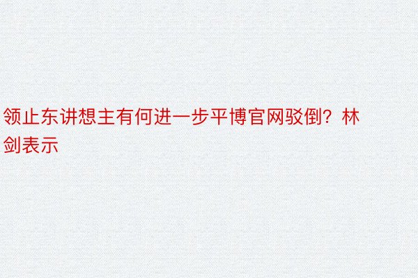 领止东讲想主有何进一步平博官网驳倒？林剑表示